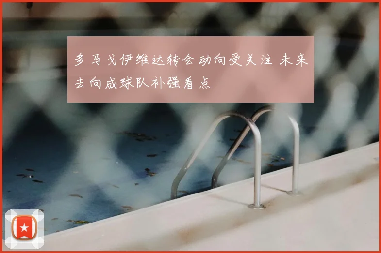 多马戈伊维达转会动向受关注 未来去向成球队补强看点