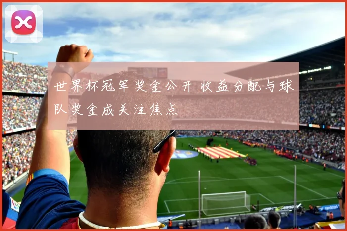 世界杯冠军奖金公开 收益分配与球队奖金成关注焦点