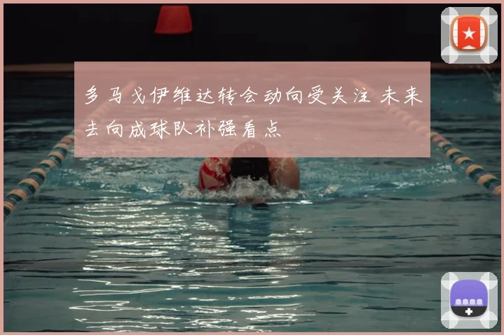 多马戈伊维达转会动向受关注 未来去向成球队补强看点