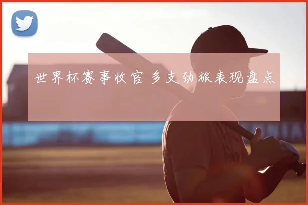 世界杯赛事收官 多支劲旅表现盘点