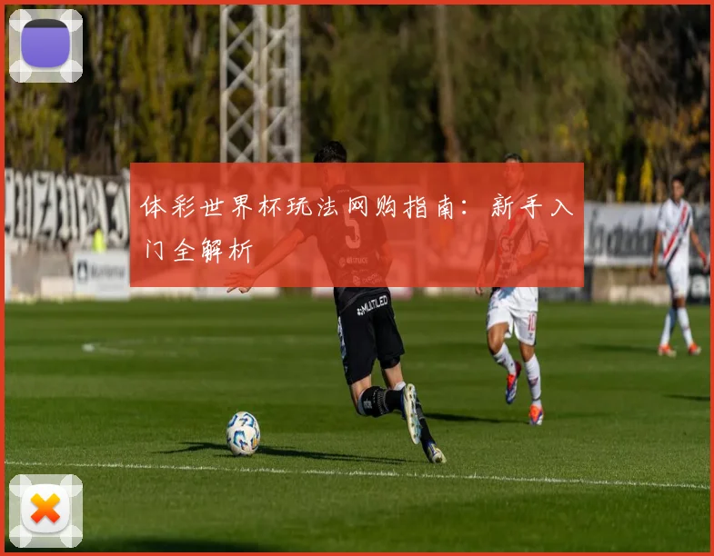 体彩世界杯玩法网购指南：新手入门全解析
