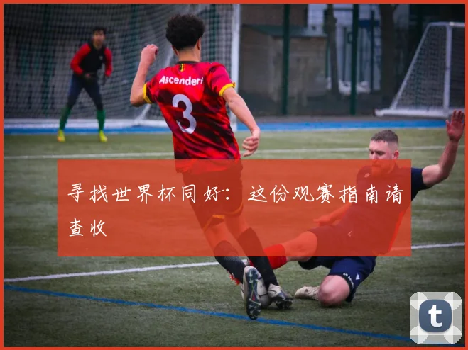 寻找世界杯同好：这份观赛指南请查收
